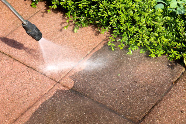 Best Fence Pressure Washing  in Loxahatchee Groves, FL
